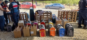 Niğde'de horoz dövüştüren 71 kişi gözaltına alındı