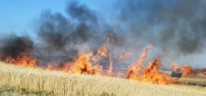 Afyonkarahisar'ın iki ilçesinde tarım arazilerinde çıkan yangınlar söndürüldü