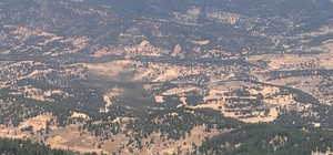 Adana'da çıkan orman yangınına müdahale ediliyor