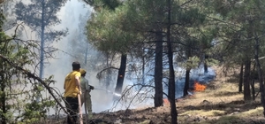 Osmaniye'de çıkan orman yangını kontrol altına alındı