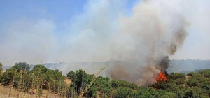 Uşak'ta meşelik alandaki yangın söndürüldü