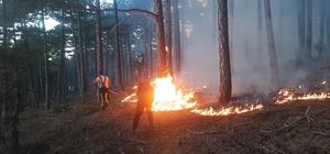 Denizli'de çıkan orman yangını kontrol altına alındı