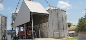 TMO Beypazarı'nda buğday alımına devam ediyor