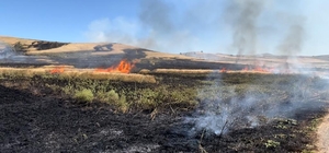 Sivas'ta tarla yangınında 30 dönüm ekili buğday zarar gördü