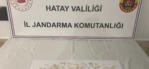 Hatay'da uyuşturucu operasyonunda 2 şüpheli tutuklandı