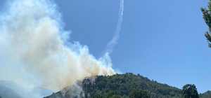 Balıkesir İvrindi'de orman yangını çıktı