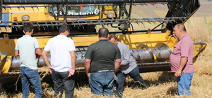 Çorum'da hububat hasadı yapan biçerdöverler dane kaybına karşı denetlendi