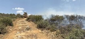 Denizli'de makilik alanda çıkan yangın söndürüldü
