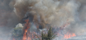 Manisa'da makilik alanda çıkan yangın kontrol altına alındı