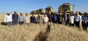 Kırşehir Valisi Buhara, hububat tarlalarını inceledi