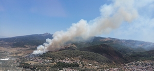 İzmir'in Güzelbahçe ilçesinde orman yangını çıktı