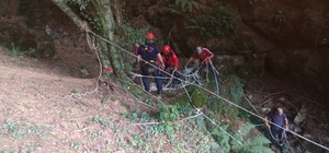 Manyas'ta mağaraya düşen dana, itfaiye tarafından kurtarıldı