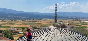 Burdur'da caminin kubbesinde mahsur kalan leyleği itfaiye kurtardı 