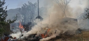 Keçi otlatırken hazırlandığı LGS sınavında 494 puan alan Muhammet'in ailesi...