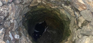 Uşak'ta kuyuya düşen buzağı kurtarıldı