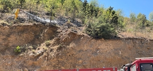 Mihalgazi'de bağ evinden ormanlık alana sıçrayan yangın büyümeden söndürüldü