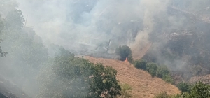 Malatya'da orman ve bahçelik alanda yangın