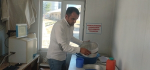 Tokat'ta buğday ve arpa hasadı başladı