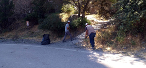 Ankara'dan kısa kısa