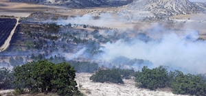 Eskişehir'de çıkan yangınlar, Orman Bölge Müdürlüğü ekiplerince söndürüldü