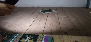 Trabzon'da uyuşturucu operasyonunda 2 şüpheli yakalandı