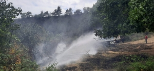 Sinop'ta çıkan orman yangını söndürüldü