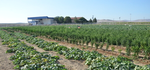 Ayrancı Belediye Başkanı Büyükkarcı ilçedeki çalışmaları anlattı
