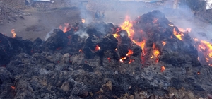 Van'da 8 bin bağ ot yandı
