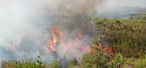 Burdur'da orman yangını çıktı
