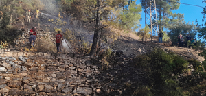 Mersin'de ormanlık alanda çıkan yangın söndürüldü