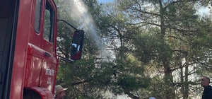 GÜNCELLEME - Afyonkarahisar'da çıkan orman yangınına müdahale ediliyor
