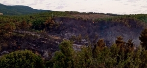 GÜNCELLEME 2 - Afyonkarahisar'da çıkan orman yangını söndürüldü