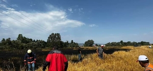 Bolu'da buğday tarlasında çıkan yangın söndürüldü