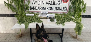 Buharkent'teki uyuşturucu operasyonunda 1 kişi yakalandı