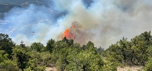 Bolu'da orman yangınına müdahale ediliyor