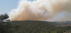 Denizli'de çıkan orman yangınına müdahale ediliyor