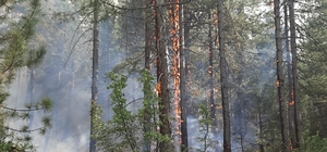 GÜNCELLEME - Antalya Akseki'de orman yangını çıktı
