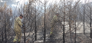 GÜNCELLEME - Denizli'de çıkan orman yangını kontrol altına alındı