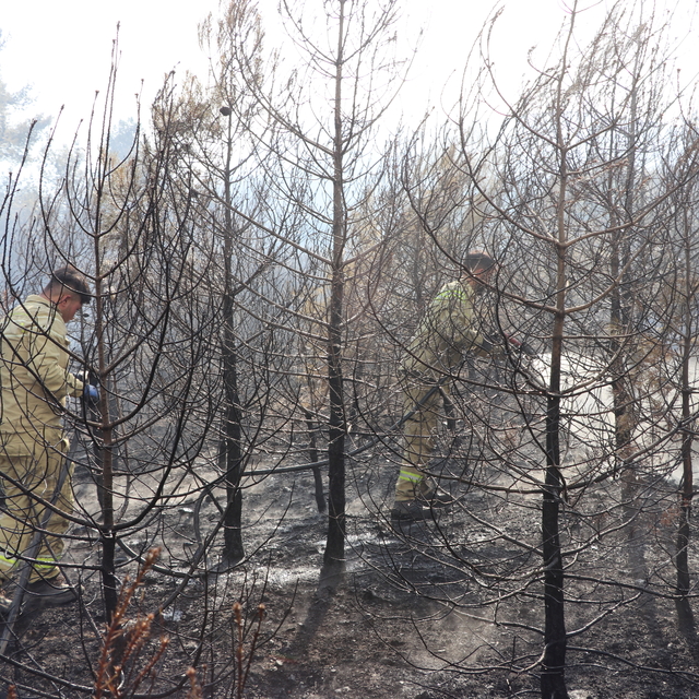 GÜNCELLEME - Denizli'de çıkan orman yangını kontrol altına alındı