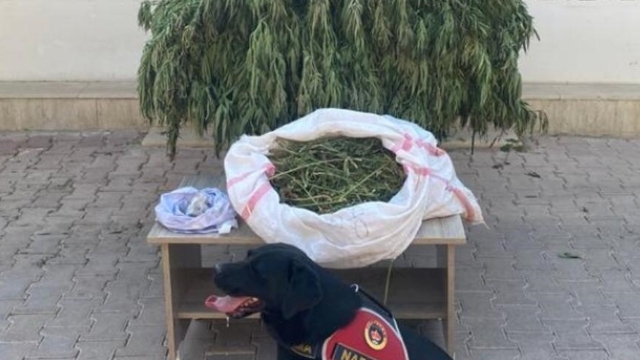 Mardin'de bir ev ve bahçesinde uyuşturucu ele geçirildi