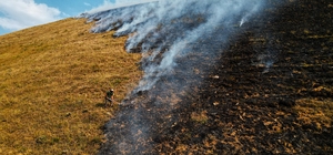 Bayburt'ta dağlık alanda çıkan örtü yangınına müdahale ediliyor