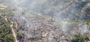 Çankırı'da çıkan orman yangını söndürüldü