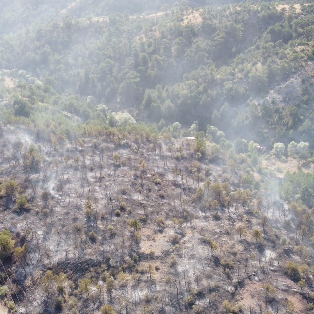 Çankırı'da çıkan orman yangını söndürüldü