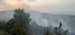 Afyonkarahisar'da orman yangını çıktı