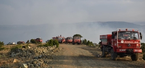 Eskişehir'de çıkan orman yangını kontrol altına alındı