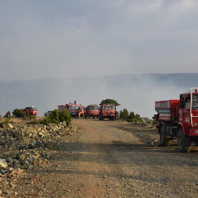 Eskişehir'de çıkan orman yangını kontrol altına alındı