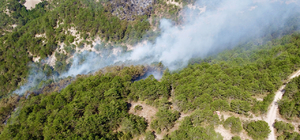 Bolu'da çıkan orman yangınlarına müdahale sürüyor