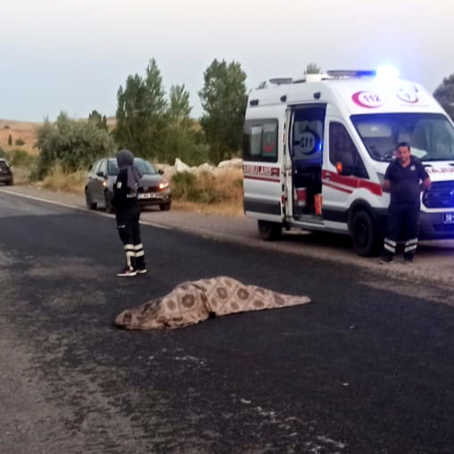 Sivas'ta cipin çarptığı yaya hayatını kaybetti