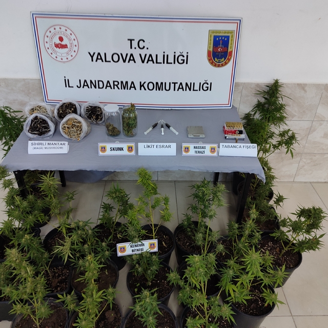 Yalova'da köydeki evinde uyuşturucu imal eden şüpheli gözaltına alındı