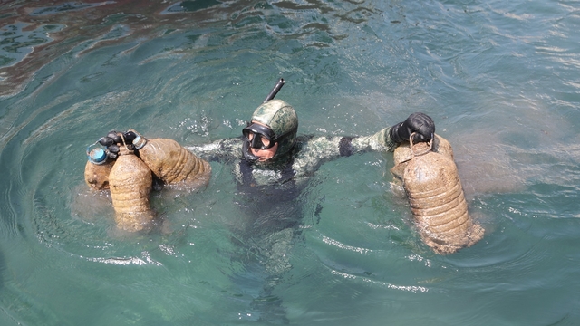 Bodrum'da deniz dibi temizliği yapıldı, 1417 kilogram atık çıkarıldı